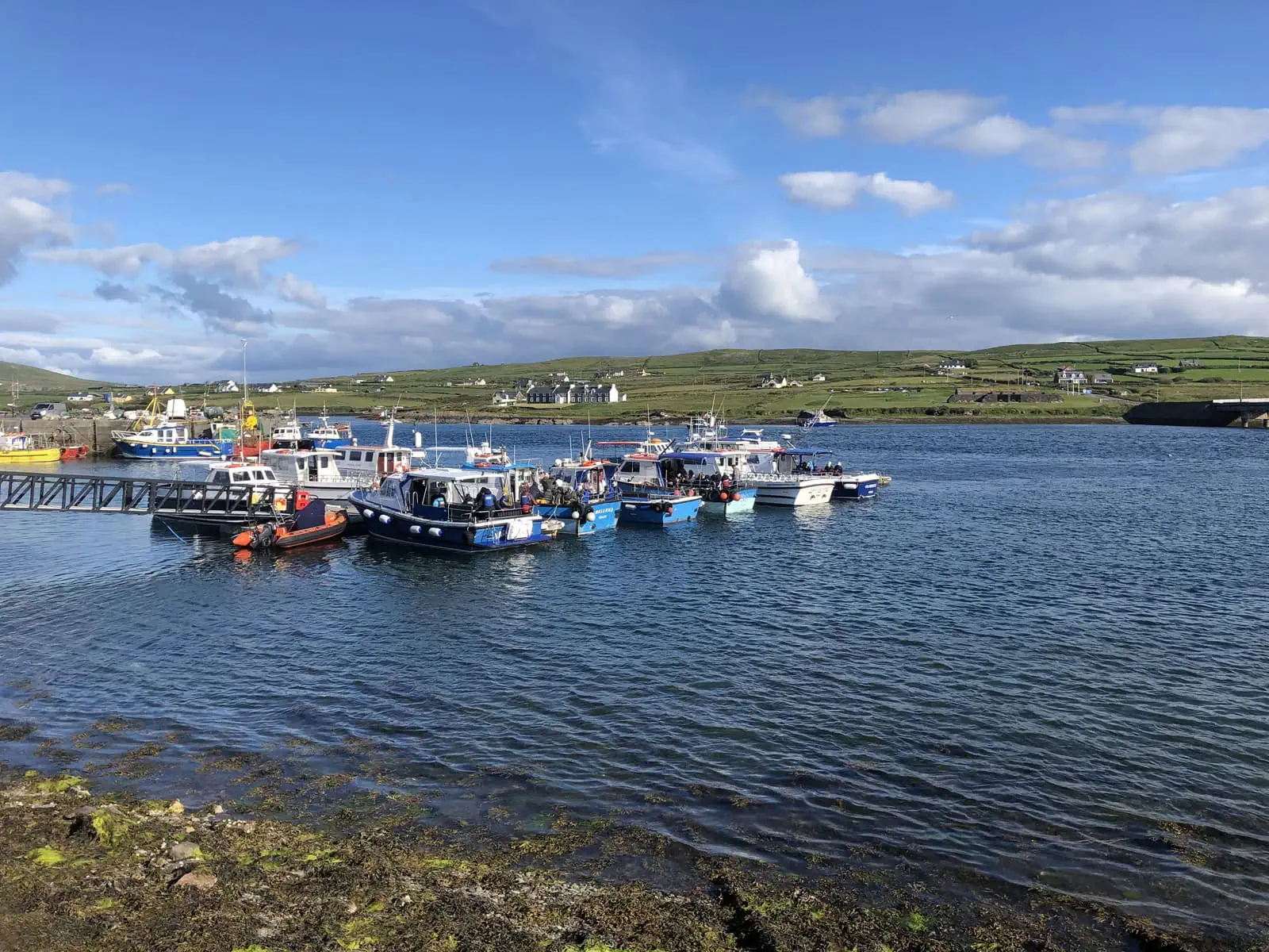 Skellig Michael tour boats at Portmagee marina