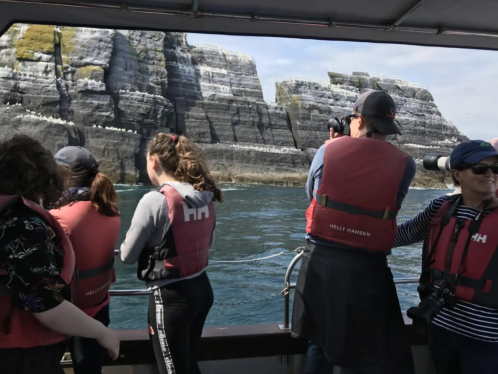 Little Skellig gannet colony seen from Sea Tour boat